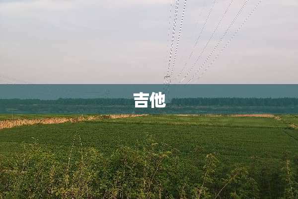 吉他