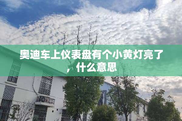 奥迪车上仪表盘有个小黄灯亮了，什么意思
