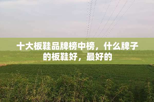 十大板鞋品牌榜中榜，什么牌子的板鞋好，最好的