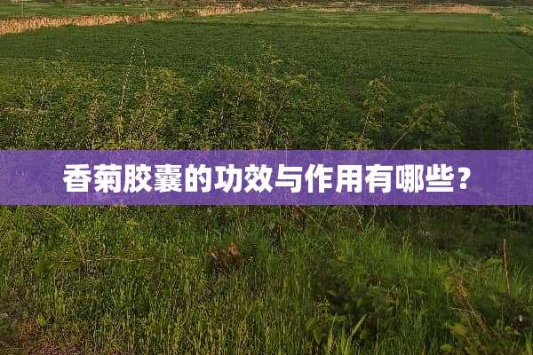 香菊胶囊的功效与作用有哪些？