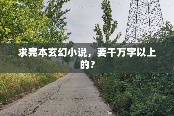 求完本玄幻小说，要千万字以上的？