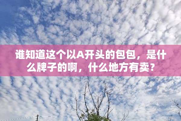 谁知道这个以A开头的包包，是什么牌子的啊，什么地方有卖？