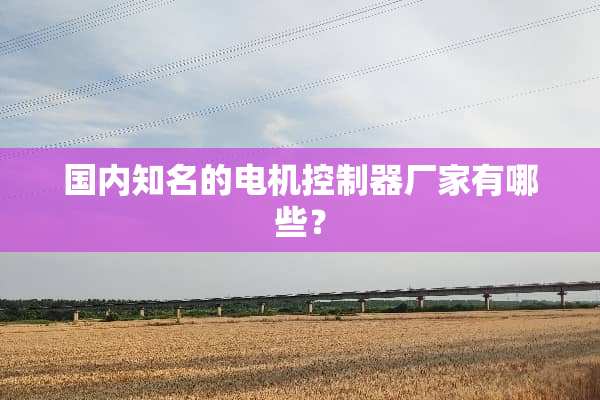 国内知名的电机***厂家有哪些？