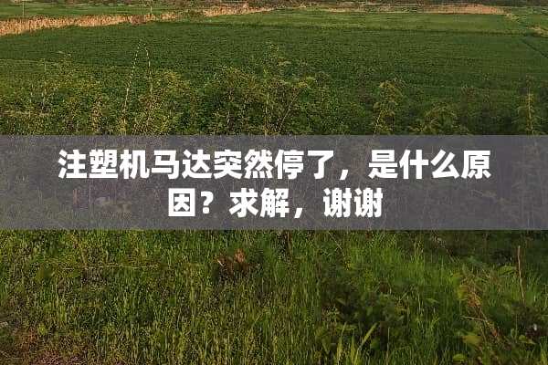注塑机马达突然停了，是什么原因？求解，谢谢