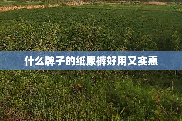 什么牌子的纸尿裤好用又实惠