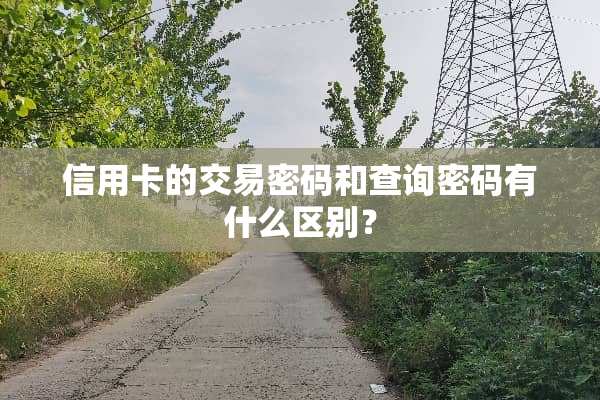***的交易密码和查询密码有什么区别？