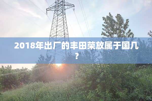 2018年出厂的丰田荣放属于国几？