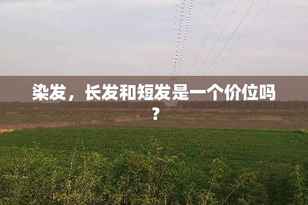 染发，长发和短发是一个价位吗？
