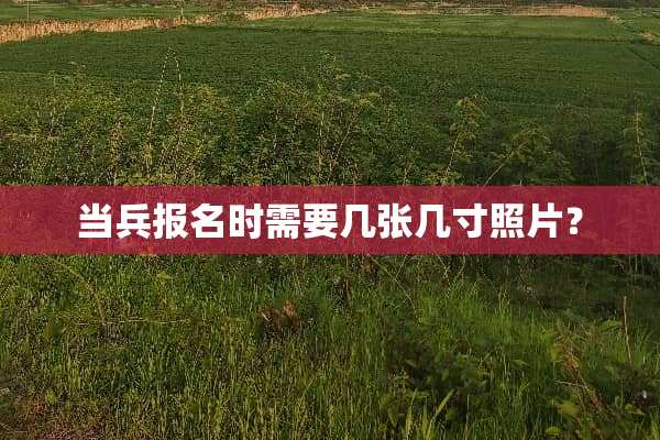当兵报名时需要几张几寸照片？