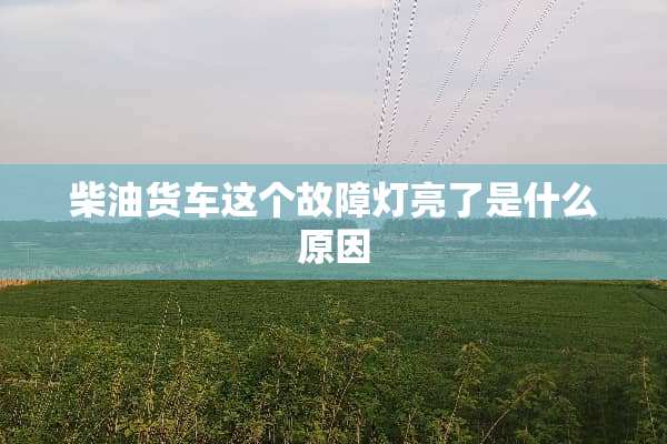 柴油货车这个故障灯亮了是什么原因