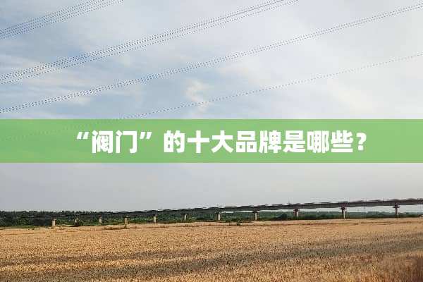 “阀门”的十大品牌是哪些？