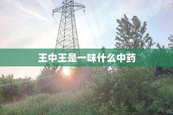 王中王是一味什么中药