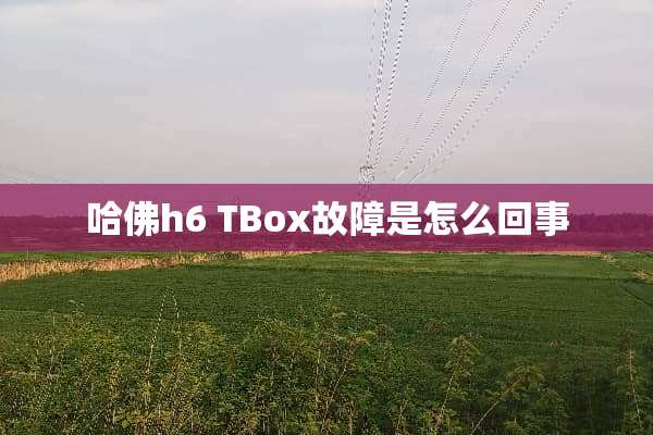 哈佛h6 TBox故障是怎么回事