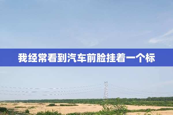我经常看到汽车前脸挂着一个标