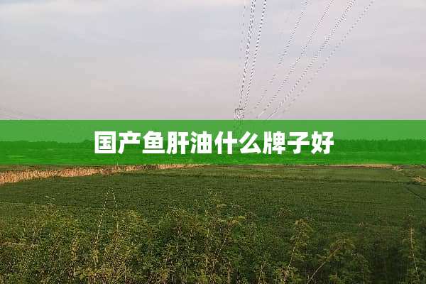 国产鱼肝油什么牌子好