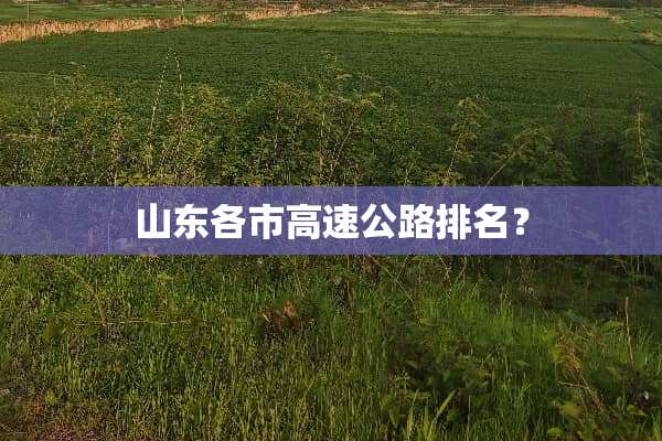 山东各市高速公路排名？