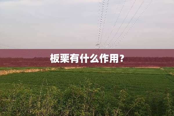 板栗有什么作用？