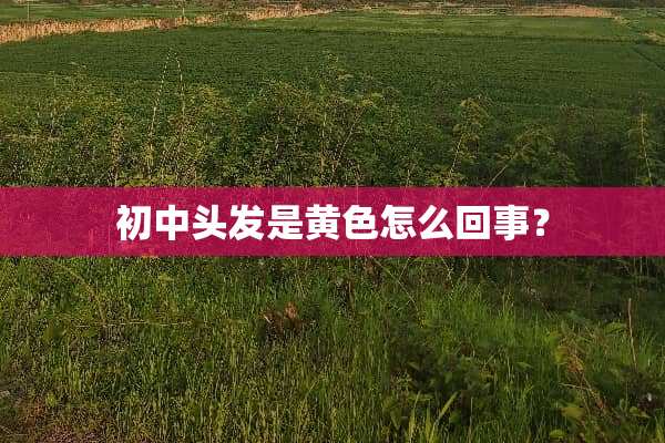 初中头发是黄色怎么回事？