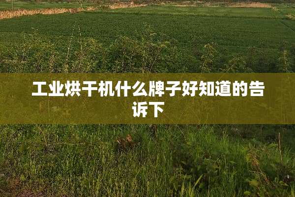 工业烘干机什么牌子好知道的告诉下