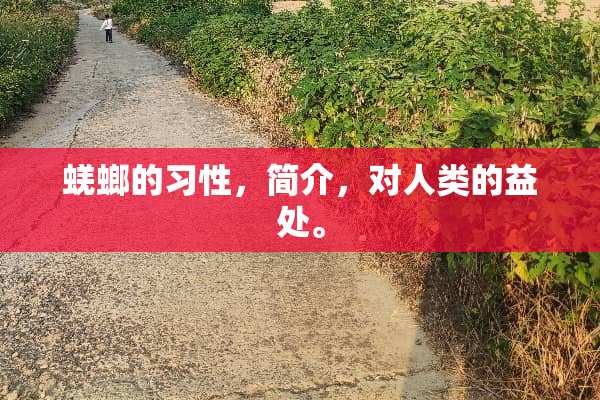 蜣螂的习性，简介，对人类的益处。
