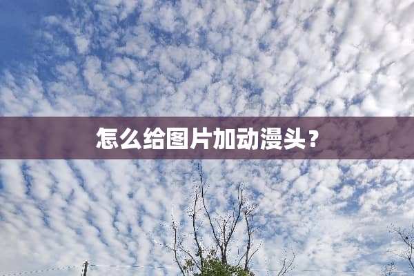 怎么给图片加动漫头？