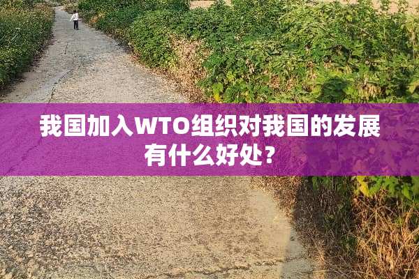 我国加入WTO组织对我国的发展有什么好处？