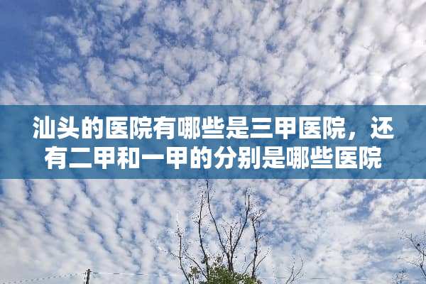 汕头的医院有哪些是三甲医院，还有二甲和一甲的分别是哪些医院？