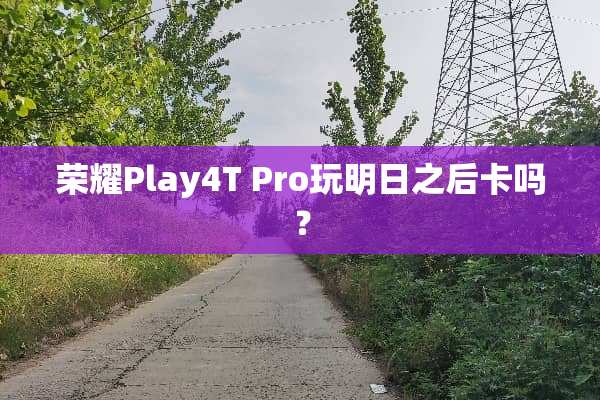 荣耀Play4T Pro玩明日之后卡吗？