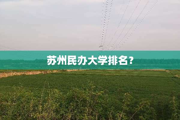 苏州民办大学排名？