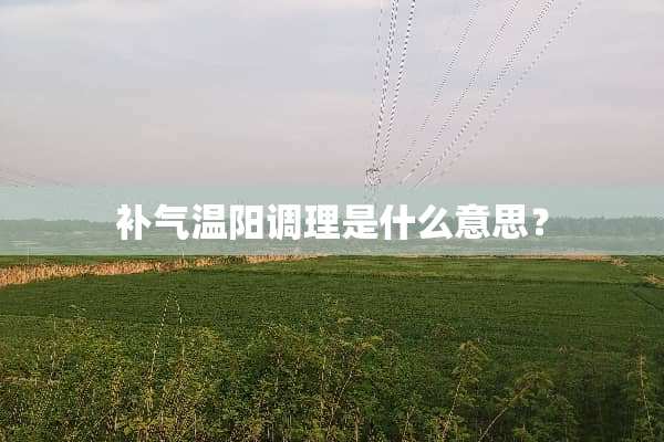 补气温阳调理是什么意思？