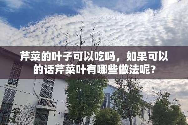 芹菜的叶子可以吃吗，如果可以的话芹菜叶有哪些做法呢？