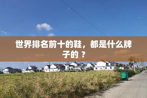 世界排名前十的鞋，都是什么牌子的 ？