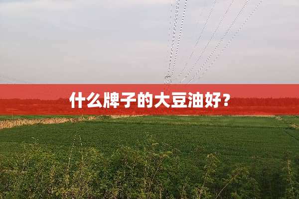 什么牌子的大豆油好？