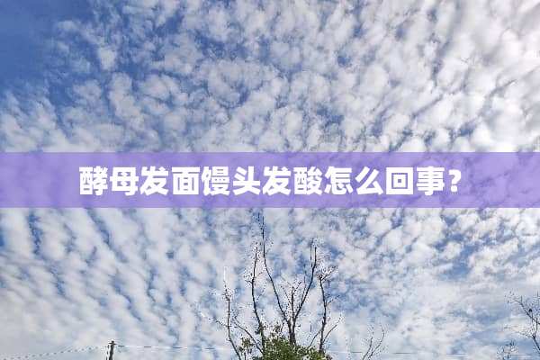 酵母发面馒头发酸怎么回事？
