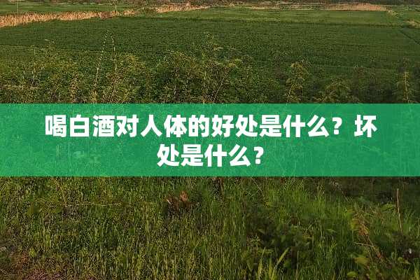 喝白酒对人体的好处是什么？坏处是什么？