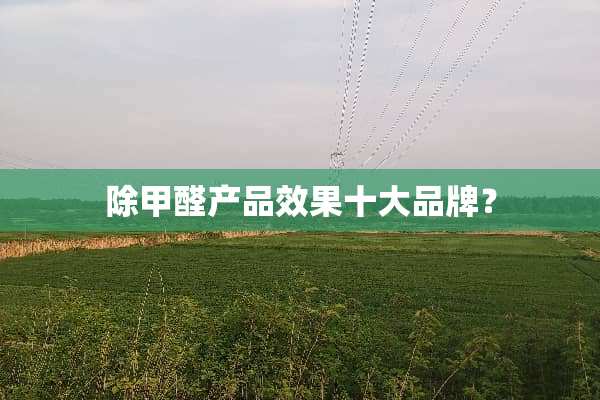 除甲醛产品效果十大品牌？