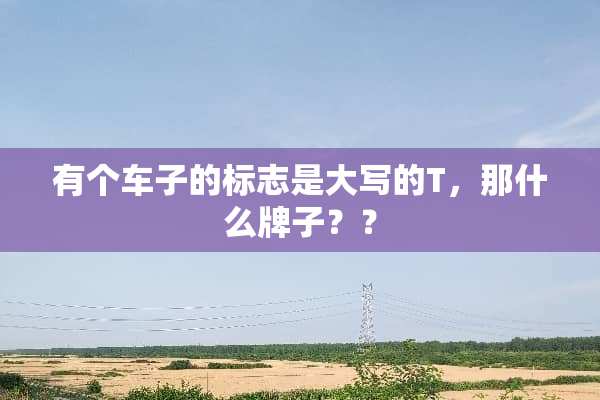 有个车子的标志是大写的T，那什么牌子？？