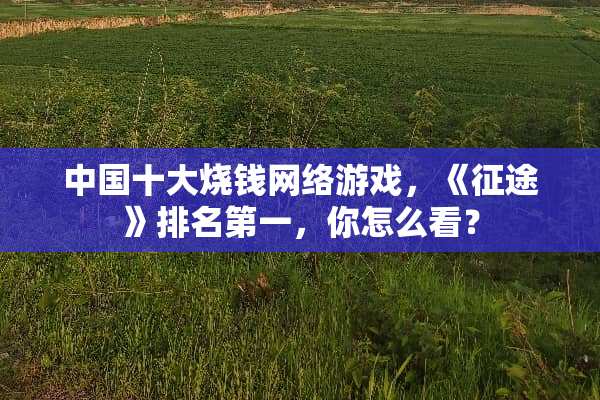 中国十大烧钱网络游戏，《**》排名第一，你怎么看？