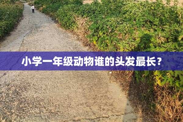 小学一年级动物谁的头发最长？