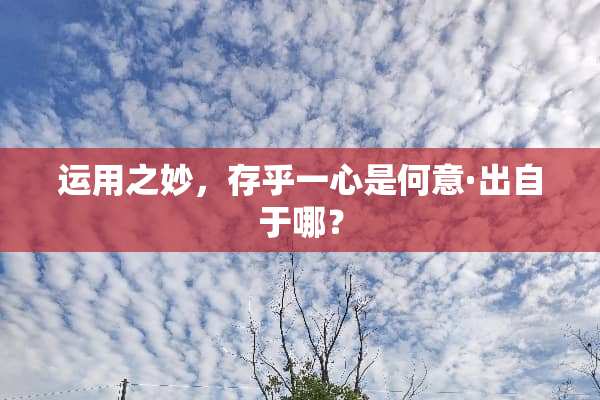 运用之妙，存乎一心是何意·出自于哪？