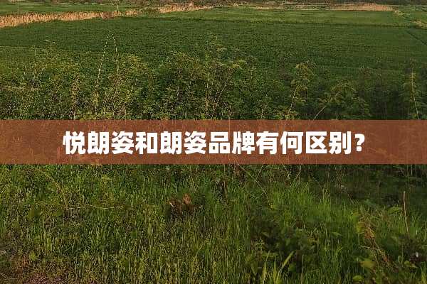 悦朗姿和朗姿品牌有何区别？