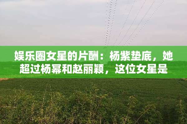 娱乐圈女星的片酬：杨紫垫底，她超过杨幂和赵丽颖，这位女星是谁？