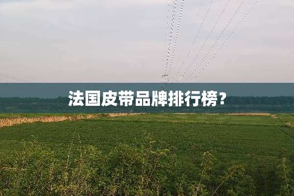 法国皮带品牌排行榜？