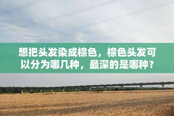 想把头发染成棕色，棕色头发可以分为哪几种，最深的是哪种？