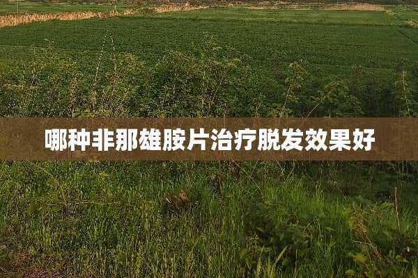 哪种非那雄胺片治疗脱发效果好
