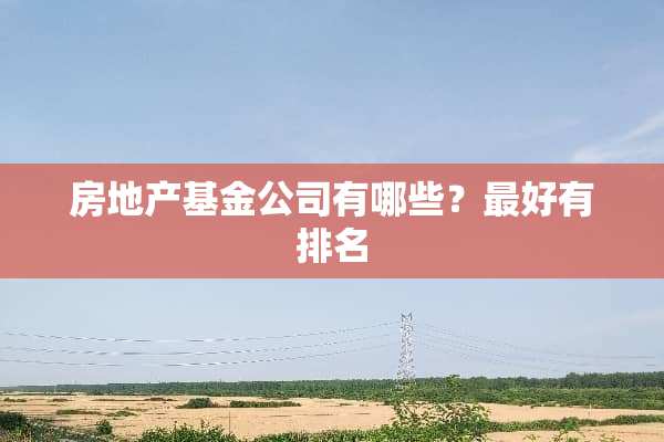 房地产基金公司有哪些？最好有排名