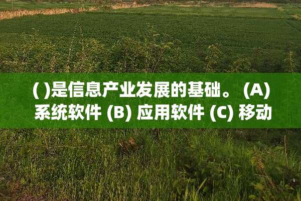 ( )是信息产业发展的基础。 (A) 系统软件 (B) 应用软件 (C) 移动