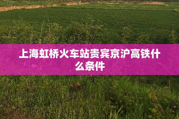 上海虹桥火车站贵宾京沪高铁什么条件