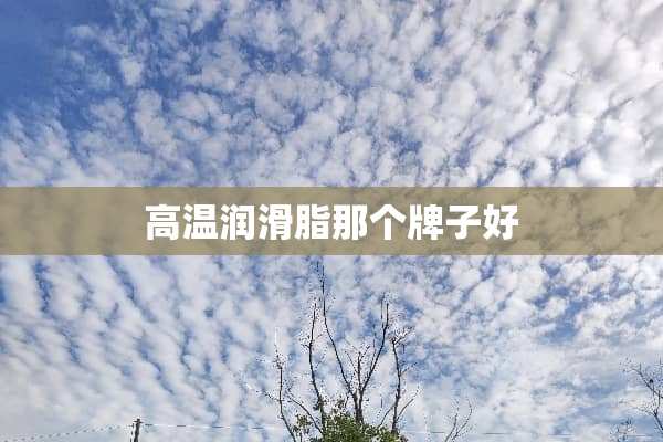 高温润滑脂那个牌子好