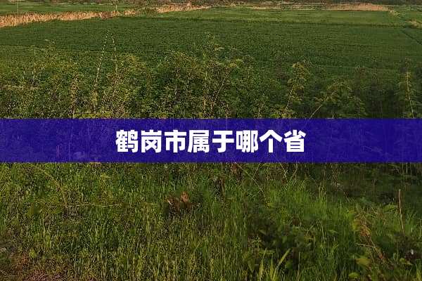 鹤岗市属于哪个省